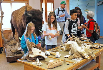 Children touch bones and furs at an interpreter table at Barr Lake