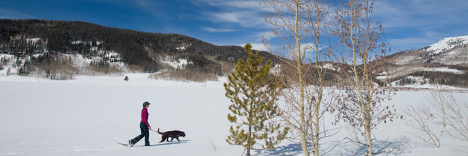 woman and dog snowshoeing