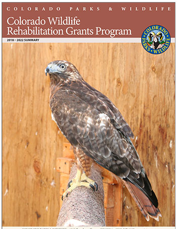 Wildlife Rehabilitation Grants Program Brochure Cover