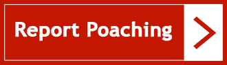 Email details to report poaching