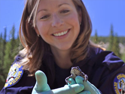 Biologist holding toad