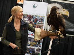 Handler with golden eagle educates visitors about raptors at the International Sportsmen's Expo.