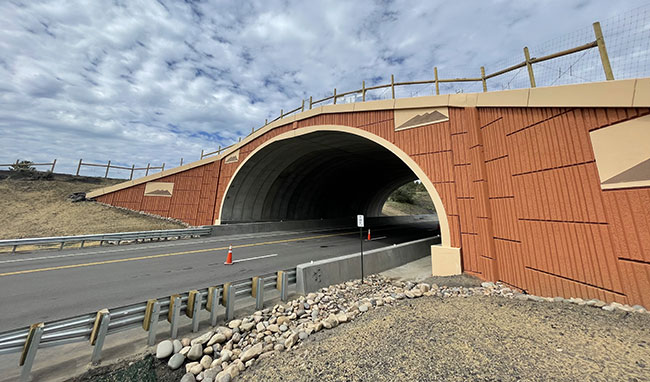 Construction on Highway 160 underpass.