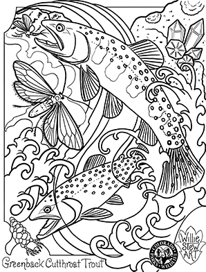 Greenback Cutthroat Trout jumping for bugs Coloring page
