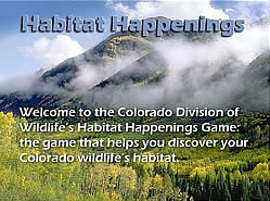 Click to play Habitat Happenings 1. 