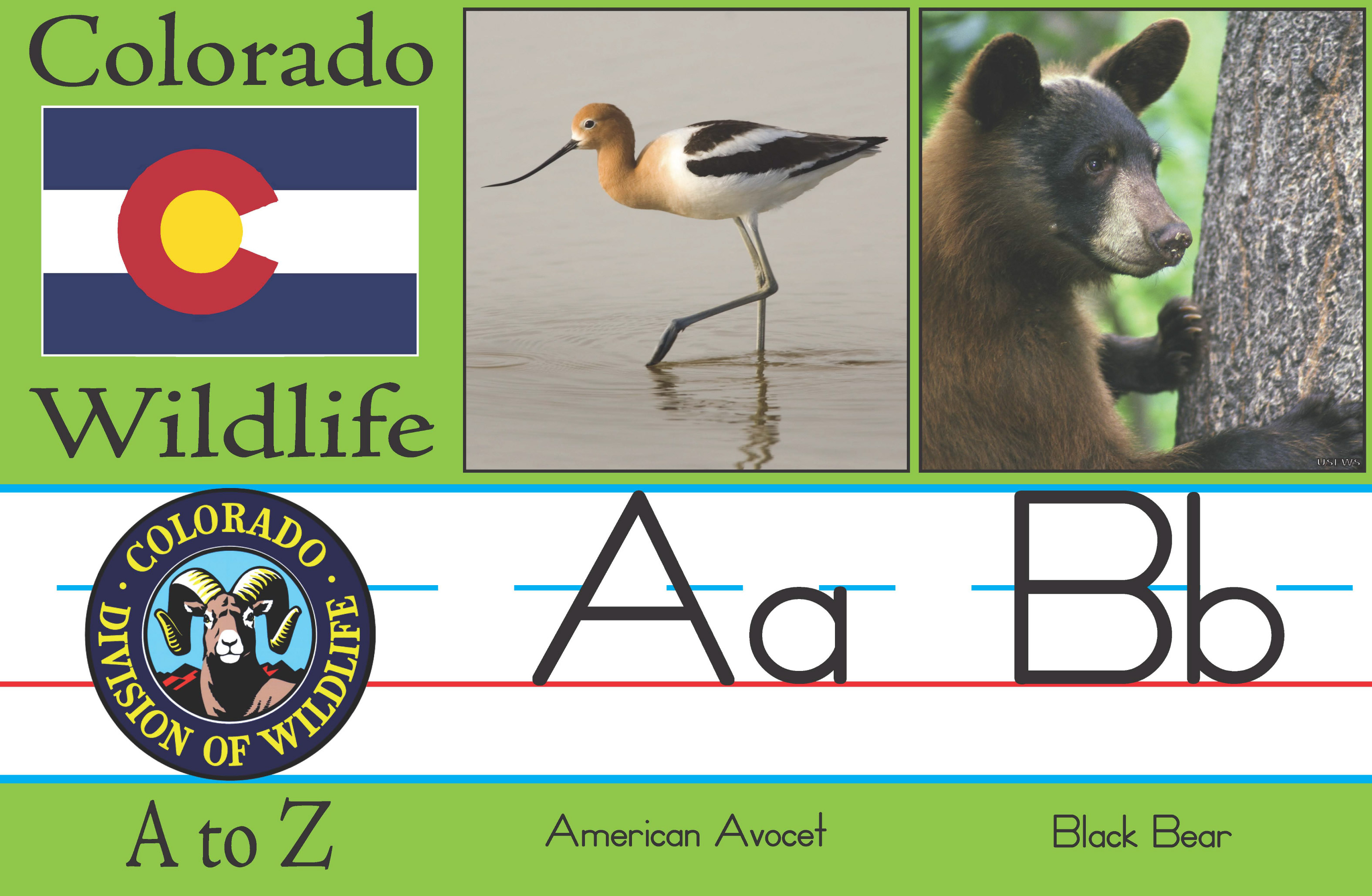 Colorado Parks & Wildlife - Colorado Wildlife—A to Z
