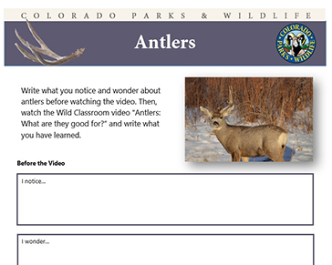 Thumbnail cover image of Antlers MS-HS PDF