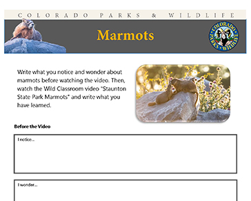 Thumbnail cover image of Marmot MS-HS PDF