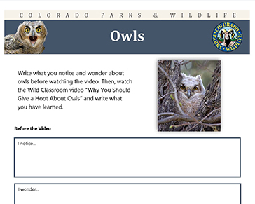 Thumbnail cover image of Owls MS-HS PDF