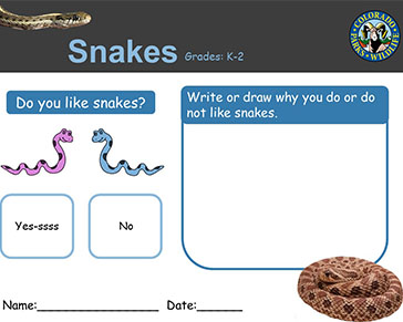 Thumbnail cover image of Snake Sheds K-2 PDF
