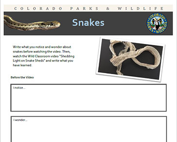 Thumbnail cover image of Snake Sheds MS-HS PDF