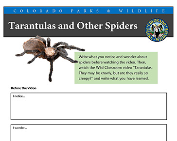 Thumbnail cover image of Spider MS-HS PDF