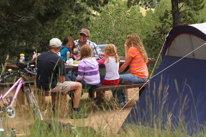 family at picnic area