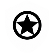 Badge on Sheild Icon