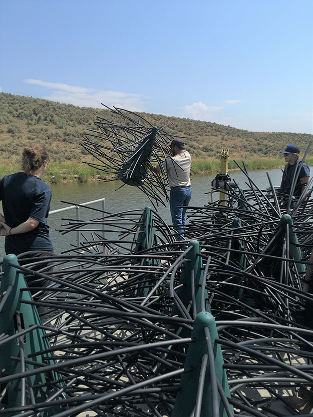 Photo 1: CPW employees installing fish habitat structures at Elkhead Reservoir.