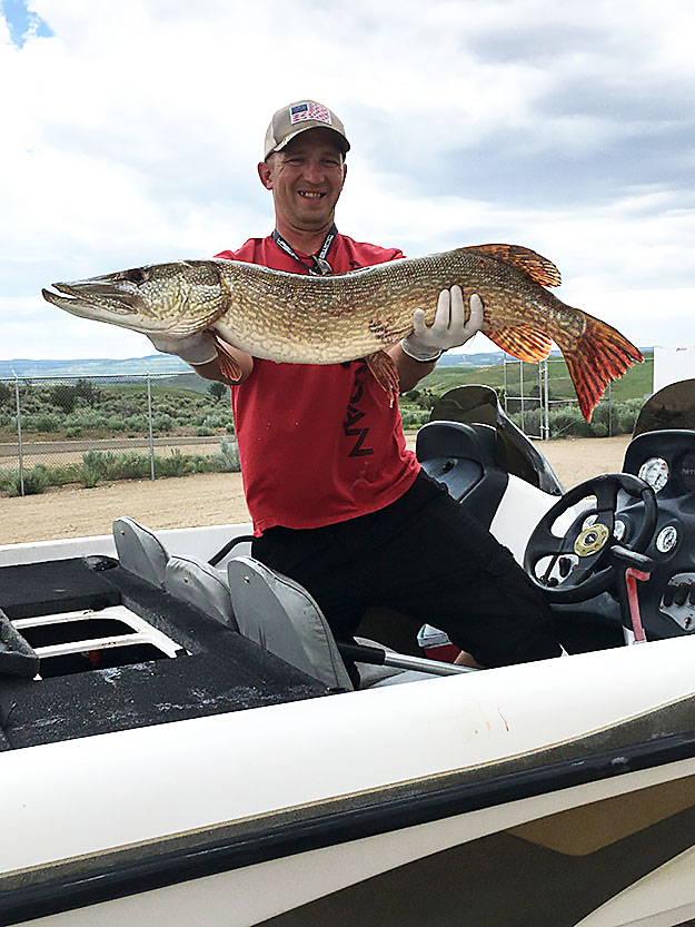 2022 Man holding Northern Pike at Elkhead Tournament