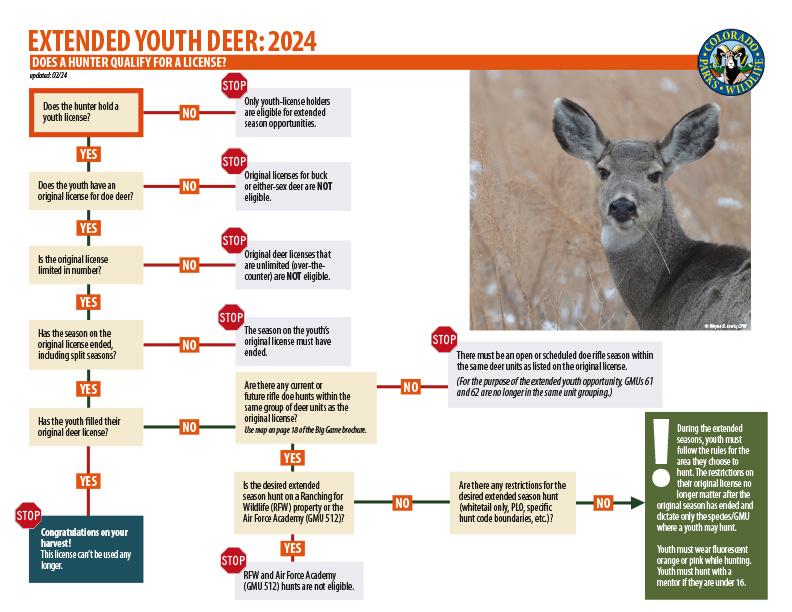 ​Extended Youth Deer