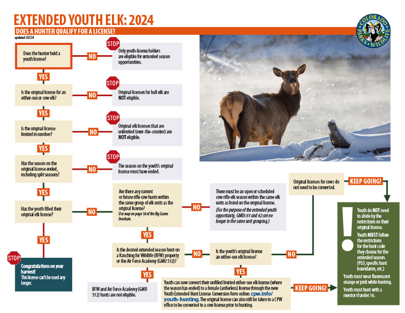 Extended Youth Elk