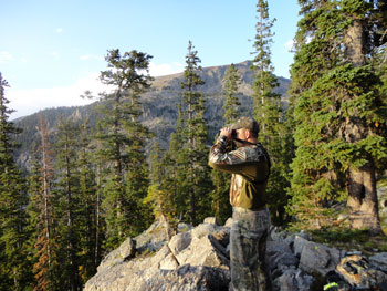An archery hunter scouts the surrounding area.