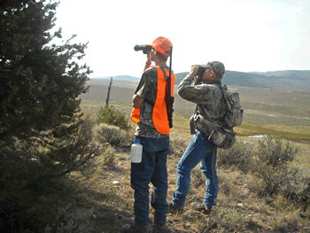 Glassing for elk. Hunter (left) and Guide (right). Guides are not required to wear blaze orange in CO.