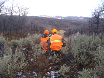 Elk Hunting Requires Patience © CPW