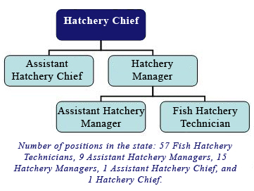 Fish Hatcheries Promotional Opportunities Chart