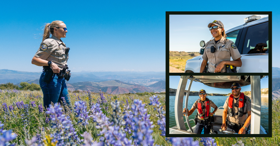3 images - female officer in mountain wildflower field, female officer next to work vehicle, female and male officers on boat.