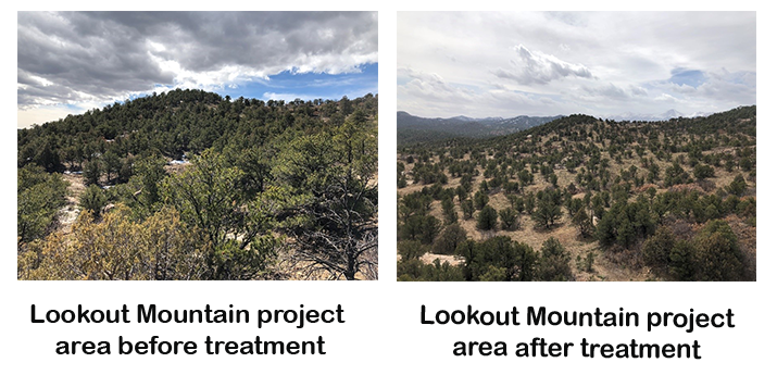 Lookout Mountain Project area before treatment, then after treatment images