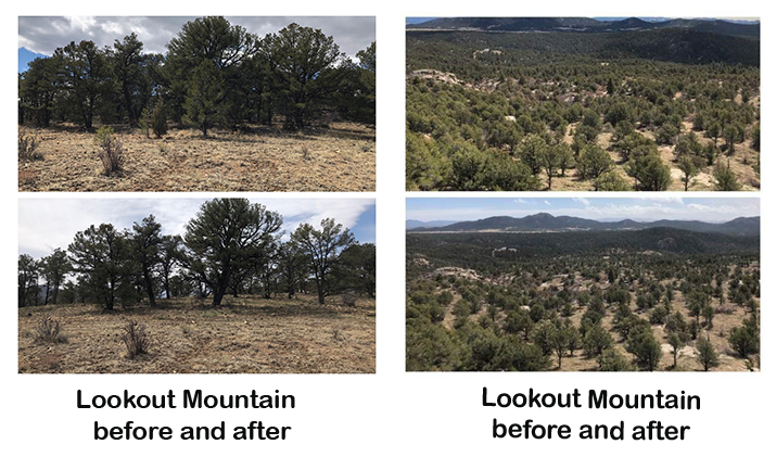 Lookout Mountain before and after treeline photos then farther away mountain view photos