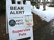 bear alert sign