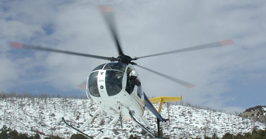 Helicopter Ferries a Mule Deer