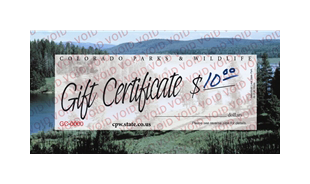 gift certificate example