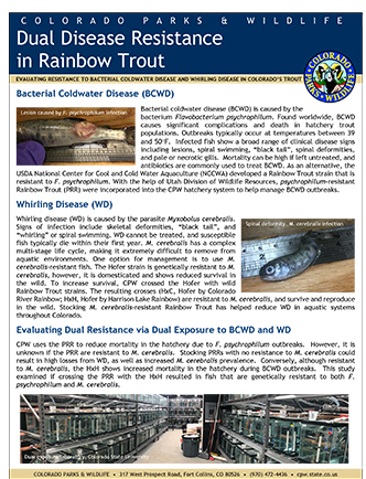 Dual Resistance in Rainbow Trout Fact Sheet Cover
