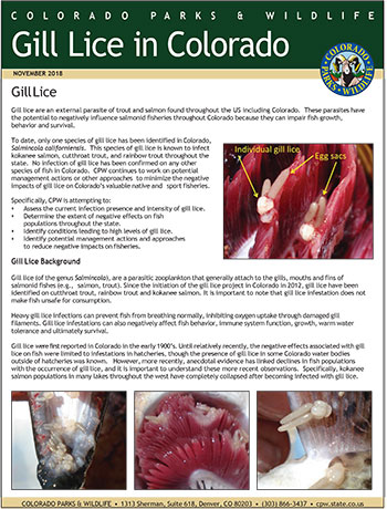 Gill Lice Fact Sheet Cover
