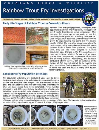 ainbow Trout Fry Investigations Fact Sheet Cover