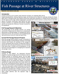 Fish Passage at River Structures Cover