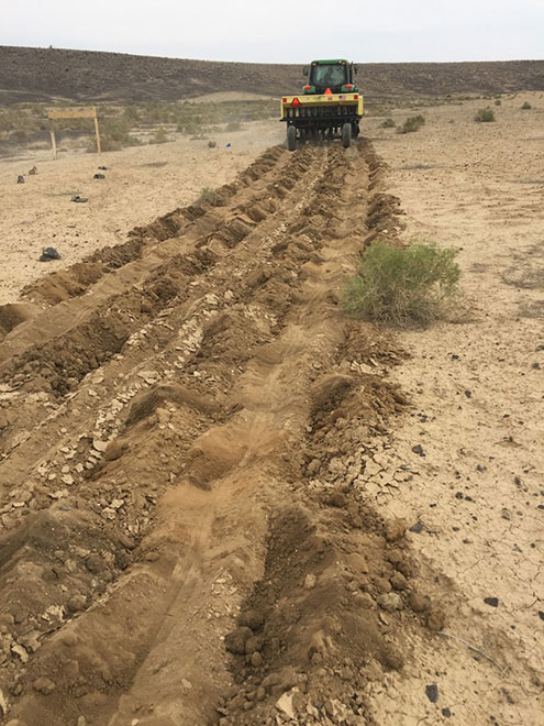 The rough soil surface pattern produced by the 2018 pothole seeder at a test site in Escalante State Wildlife Area image