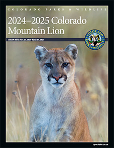 Lion Brochure Cover