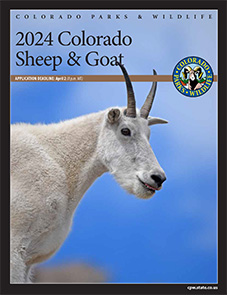 Bighorn Sheep/Mountain Goat Brochure Cover