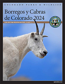 Folleto de Regulación de Borregos y Cabras (En Español)