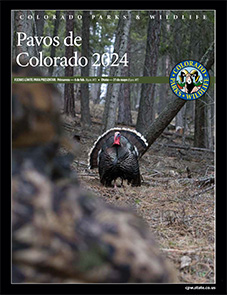 Spanish ​Turkey brochure Cover