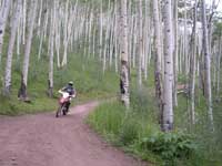 OHV dirt bike trail riding