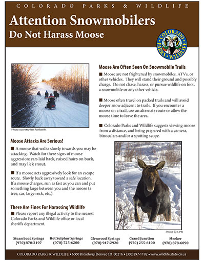 Attention Snowmobilers: Do Not Harass Moose Flyer Cover