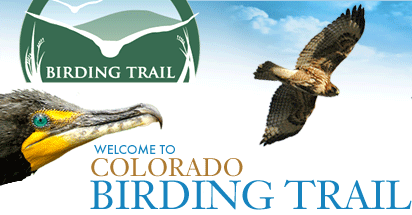 Colorado Birding Trail logo
