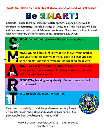 Be Smart poster cover image