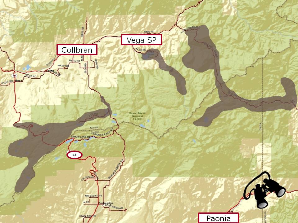 CPW map showing areas moose can be found on Mesa
