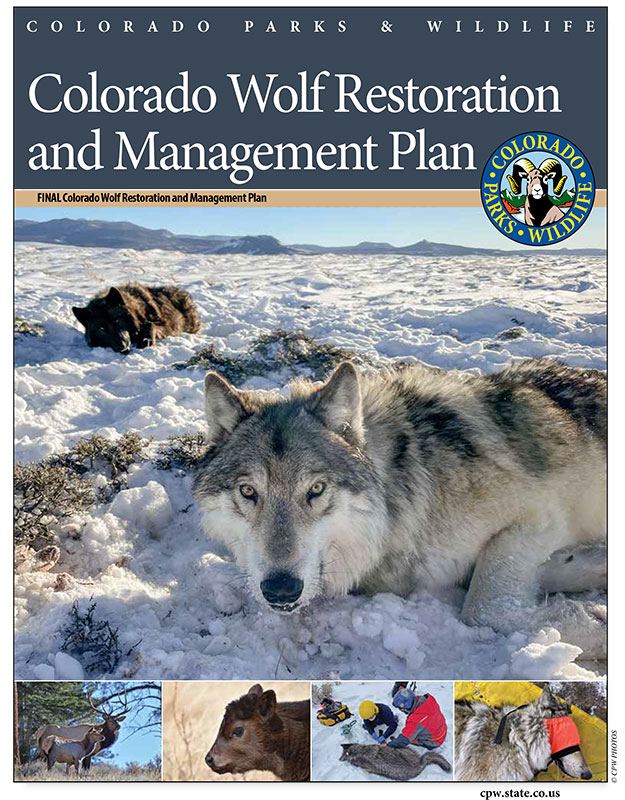 Final Wolf Plan Cover