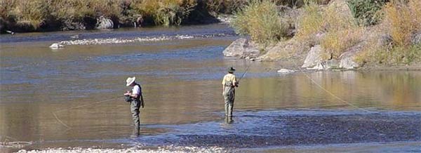 Two flyfishing anglers in Texas Creek