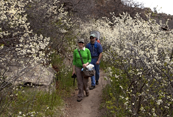 White femaile and dark-skinned male hiking on Trail with flowering bushes