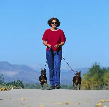 Lady walking two small dogs on leashes.